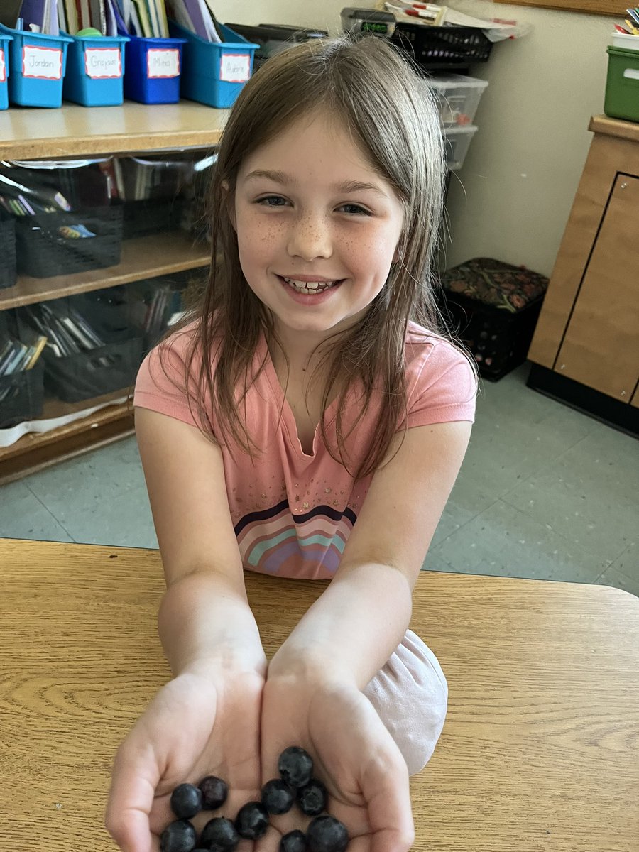 Yummy blueberries!!! <a href="/PrinceEdwardPS/">Prince Edward Pacers</a>