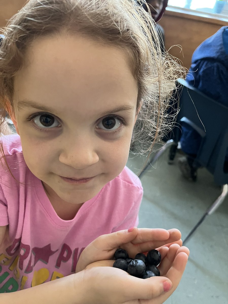 Mrs. Fanelli tweet media