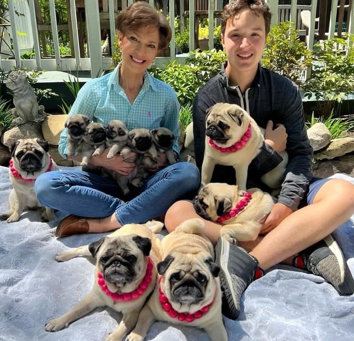 pug_owners1's tweet photo. Happy family 🥰❤️ https://t.co/8y54SXpMdK