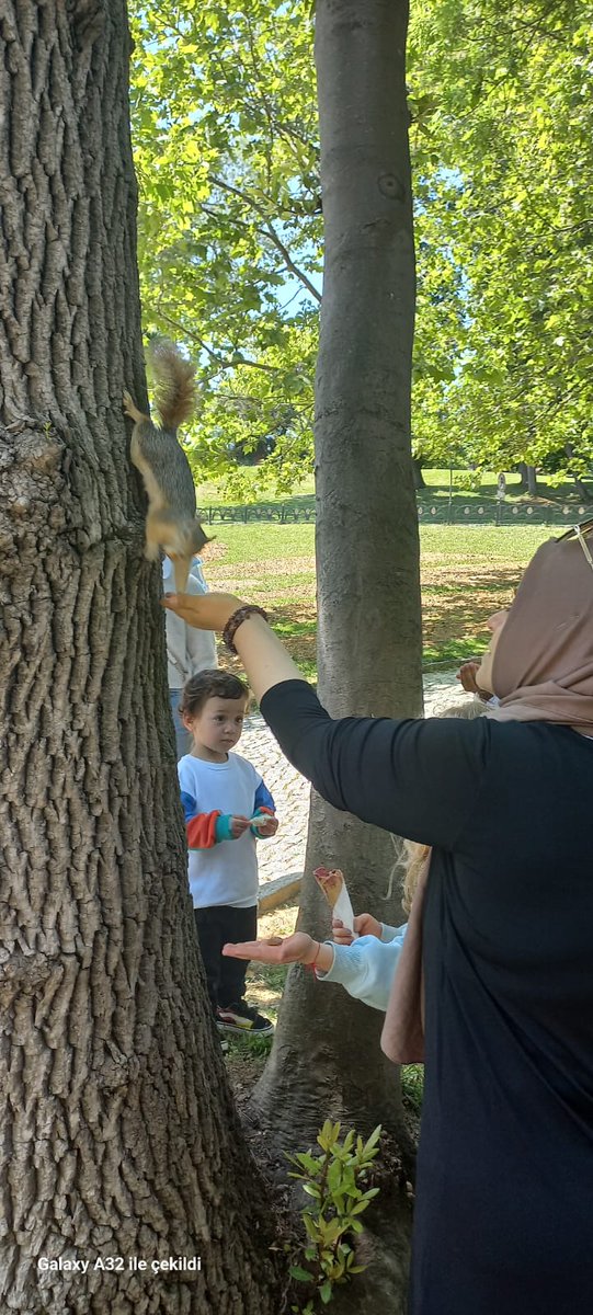 Şu hayatta ellerimle sincap🐿🐿🐿 beslemedim demem🙂🙂