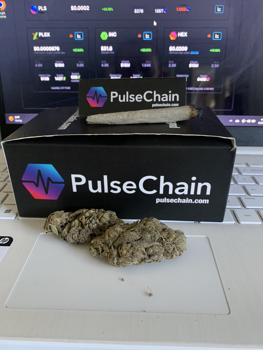 🚀 🌙 #PulseChain #Pulsex $HEX 

youtu.be/FscIgtDJFXg