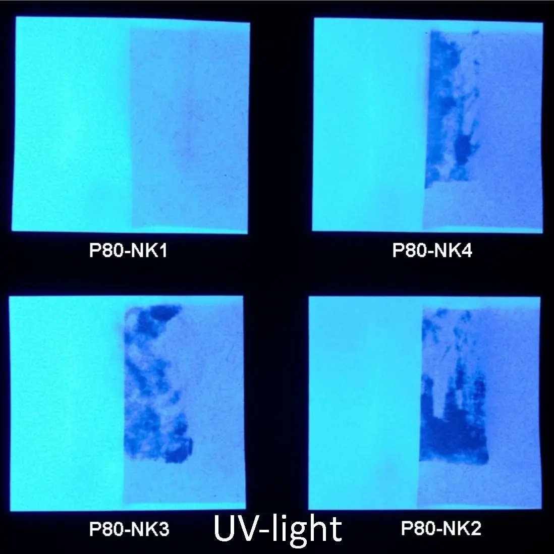 YoungConservators tweet media