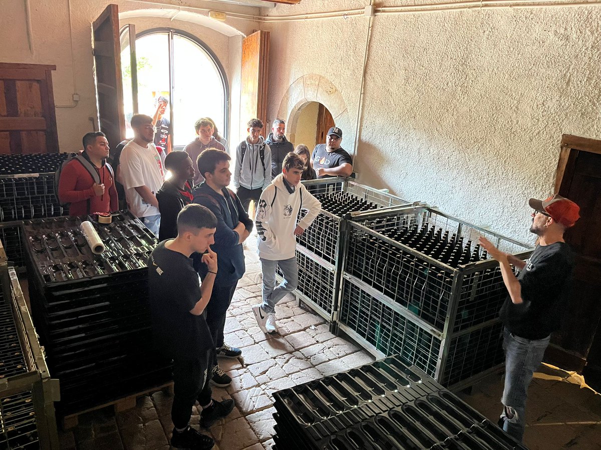 Ocupacio_MdR's tweet photo. 🎓L'alumnat del #ProjecteSingulars Jove al Baix impulsa't!, va visitar la Masia Can Calopa de l'@olivera_coop on van col·laborar amb el projecte i van poder apreciar com s’elabora l’únic vi de Barcelona
#ocupació #orientació #formació #MolinsdeRei https://t.co/b3L8lNkaEx