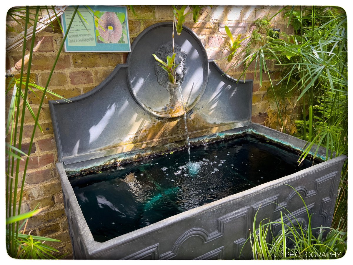 J.P Photography tweet media