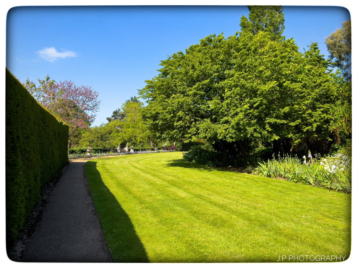 J.P Photography tweet media