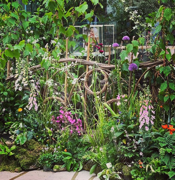JenMaresYLT's tweet photo. Enjoying the #chelseaflowershow ? Or maybe the glorious photos? Listen to our episodes about Victorian “Exotica Mania” &amp; “The Plant Hunters” and think with us about what relationship with plants might say about a culture. https://t.co/1OlWAraQgR   #chelseainbloom #london https://t.co/rCLY4qizIz