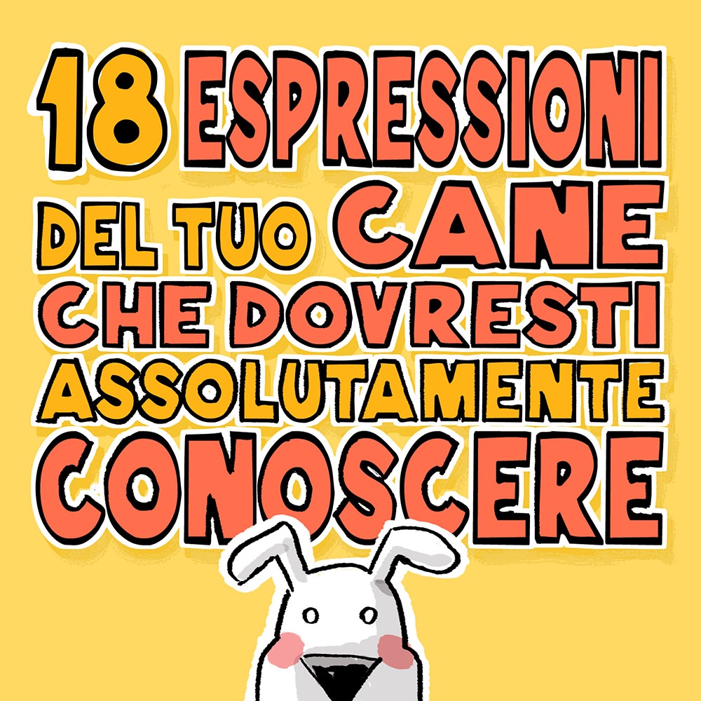 tartaro7's tweet photo. Esattamente un anno fa, mentre facevo colazione, pensai a quest'utilissima guida alle più comuni espressioni dei cani.
#guideutili #espressionicanidi #cani #cana #espressioni #guide https://t.co/8rdiKrbq7K