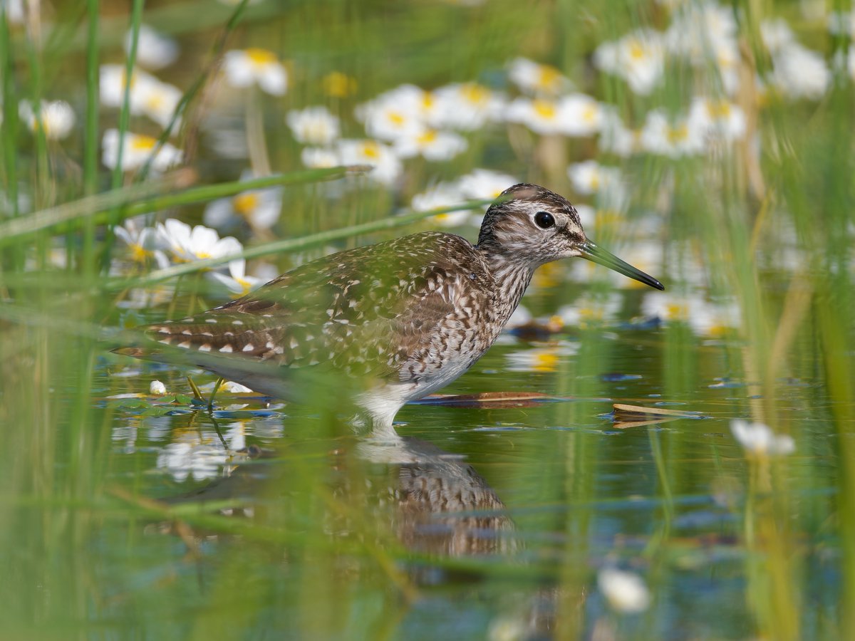 Paul Roberts tweet media