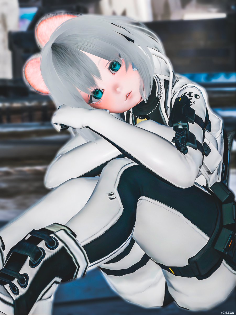 #PSO2NGS_SS