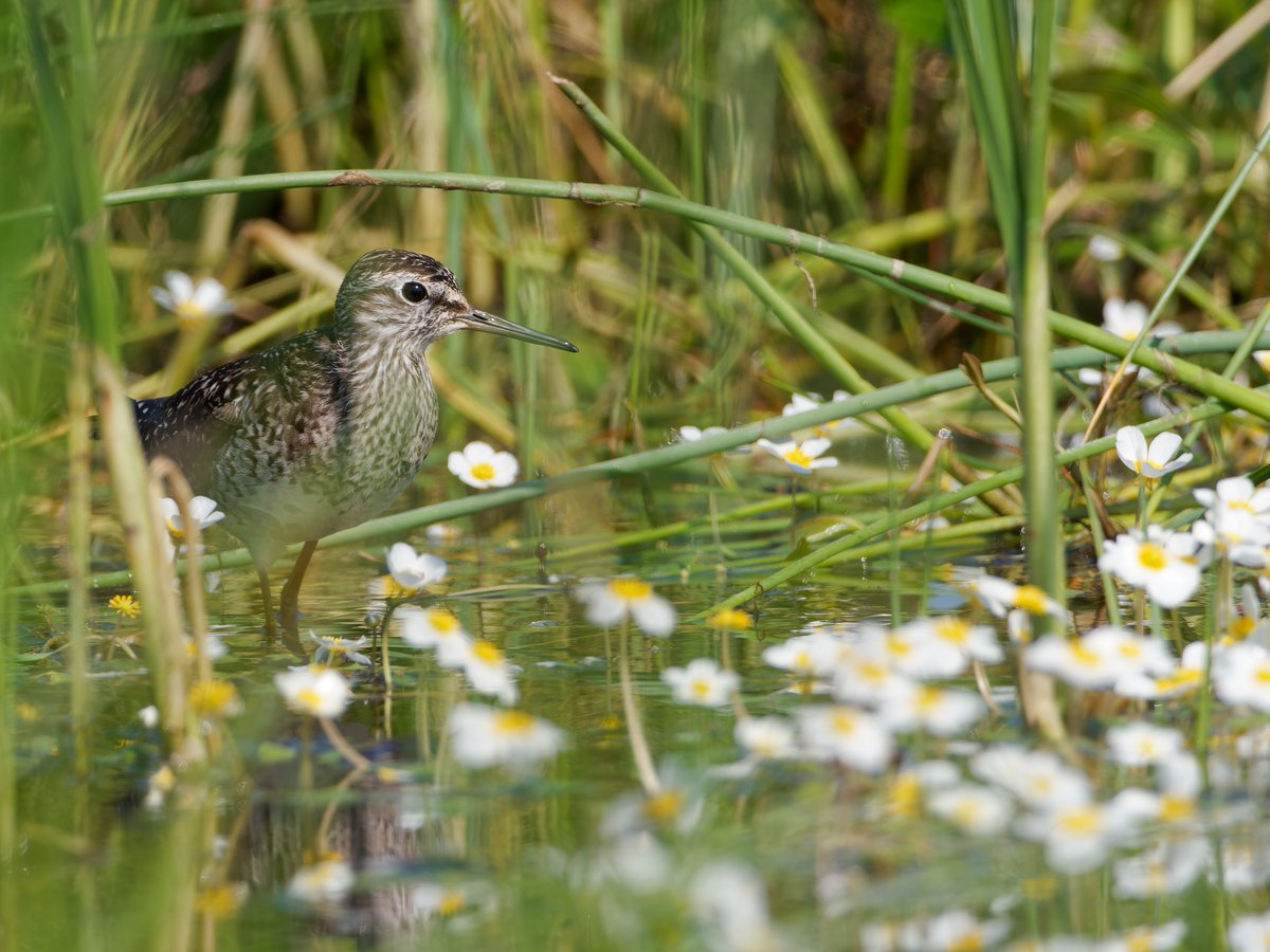 Paul Roberts tweet media