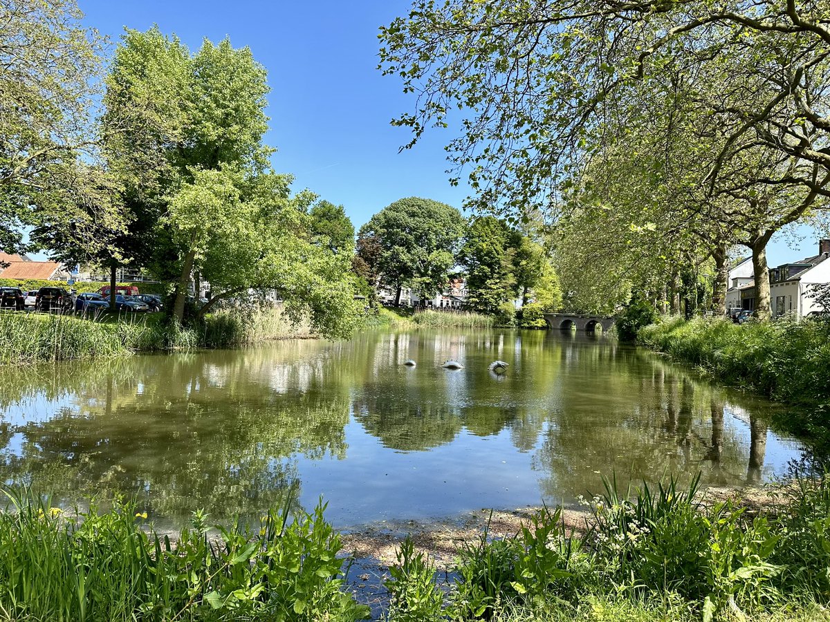 Erica van Leeuwen-de Bruijn tweet media