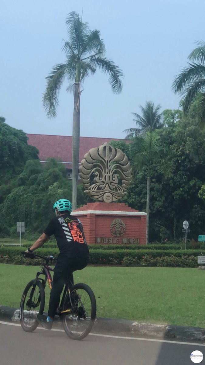 CEK PINNED! tweet media