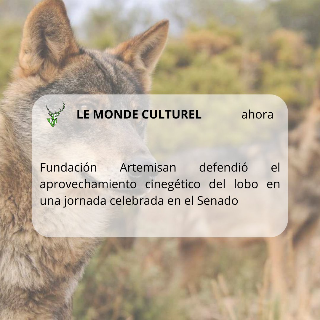 Ya disponible en tu revista digital #argataca #LeMondeCulturel... Fundación Artemisan defendió el aprovechamiento cinegético del lobo en una jornada celebrada en el Senado 

argataca.blogspot.com/2023/05/fundac… 

#artemisan #lobo #gestión #cinegética #política