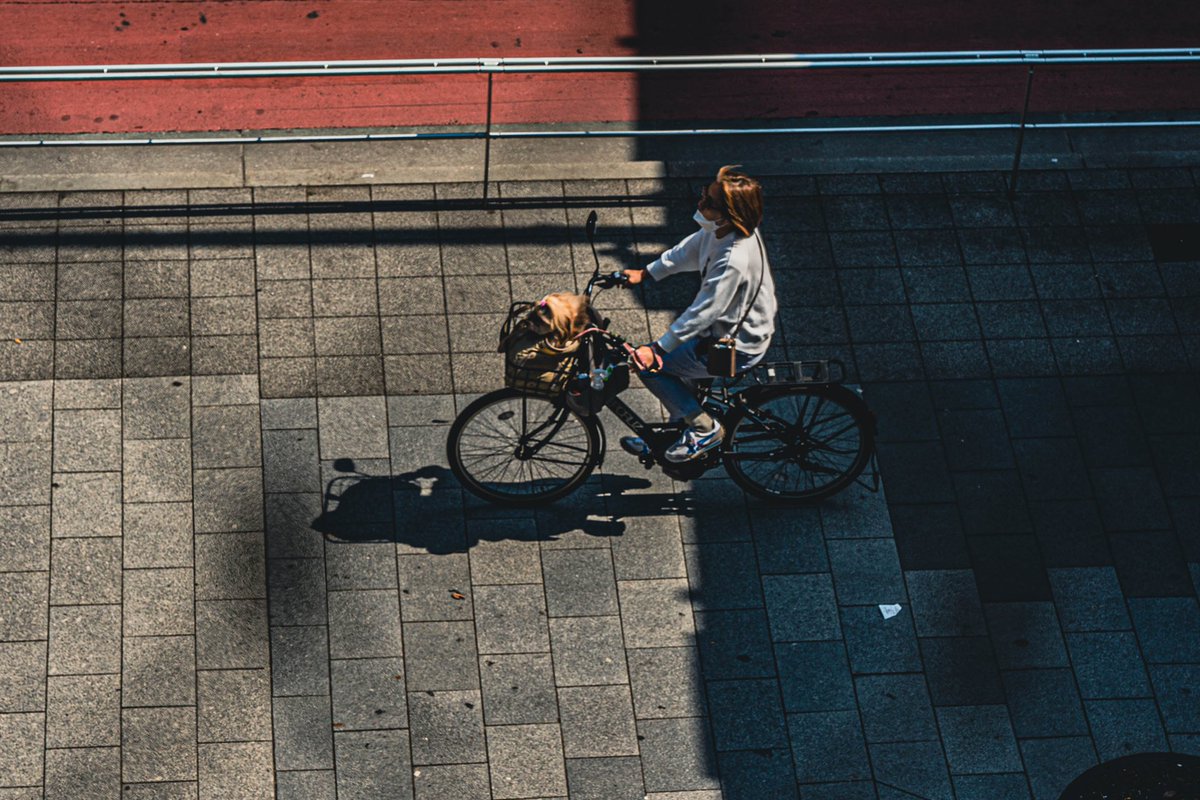 charicocruz's tweet photo. What we do in the shadows. Shibuya,Tokyo 2023. #streetphotography #tokyo https://t.co/9Bxch1ZrtA