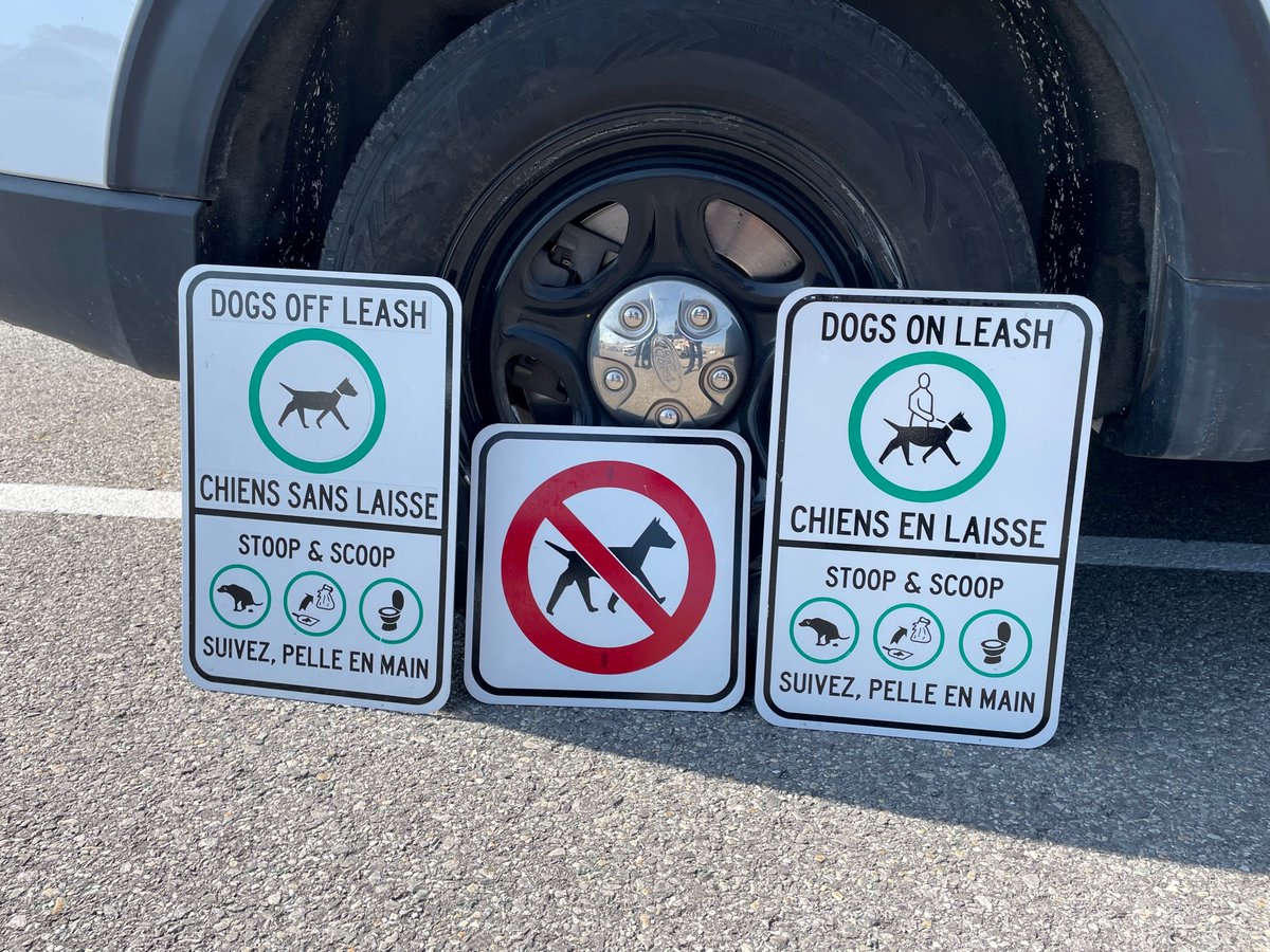 Ottawa By-law tweet media