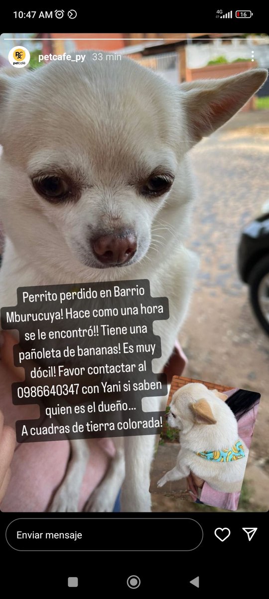 Busca a sus dueños #compartir