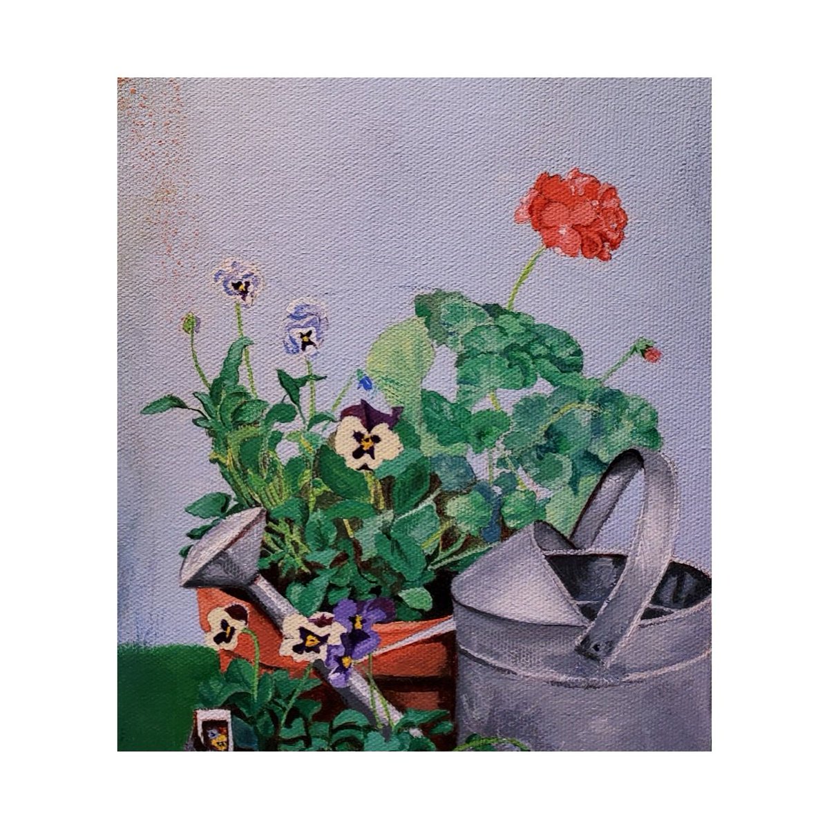 #HappyFriday! 
'Geranium Memory' - 20' x 16' 
25% OFF this weekend 
etsy.com/shop/ArtByMary…
#geraniums #pansies #wateringcan #MemorialDaySale #25percentoff #floral #floralpainting #gardening #gardenpainting #artbymarychant #art #artwork #etsyshop #originalart #flowers #artonsale