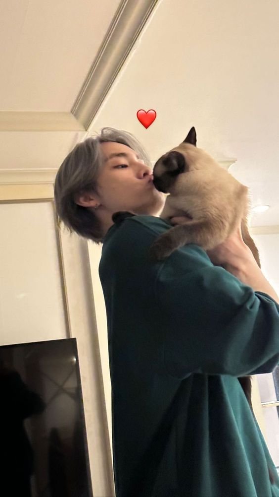 deslog_forever's tweet photo. 𝐌𝐚𝐲, 𝟐𝟔
↳ 𝘐𝘯𝘴𝘵𝘢𝘨𝘳𝘢𝘮 𝘶𝘱𝘥𝘢𝘵𝘦  

» O dia com ela!!! 🐈 https://t.co/UEhR3UHbYi