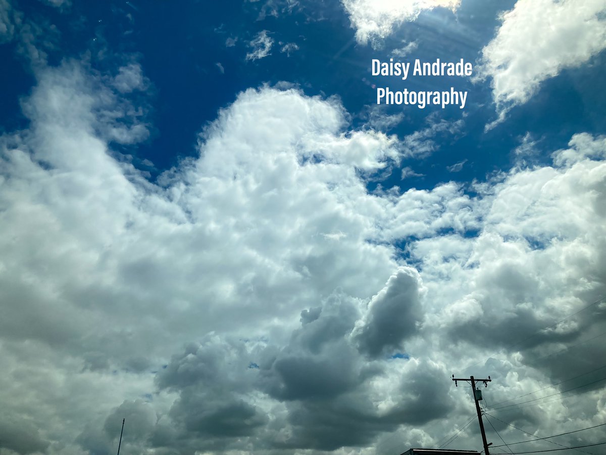 🦋🤍📷💙#daisyandradephotography #aroundtheworld #worldphotography #California #photographer #viral #trending #naturephotography #newsphotographer #mothernature #worldwide #abc7eyewitness #abc7community #landscapephotography #photography