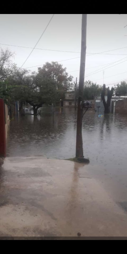 silvia_saravia's tweet photo. 😡 Esto sucede en Quilmes, Lomas de Zamora, Florencio Varela... y tantos otros distritos del conurbano bonaerense #RealidadVsRelato

👊🏼 Subamos las fotos!

😡 Vergüenza debería darles a quienes nos gobiernan y gobernaron.
#HayQueEcharlosConLosVotos
#JesusPresidente https://t.co/z6xOIKn4fE