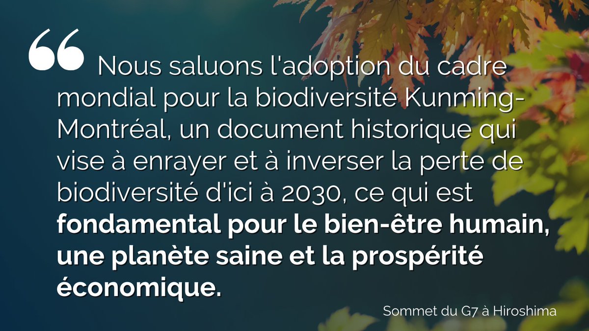 Le sommet du <a href="/G7/">G7</a> à Hiroshima 🇯🇵:

➡️A réaffirmé son engagement à renforcer les synergies entre le financement pr le climat &amp; la #biodiversité, &amp; un financement accru pr les solutions basées sur la nature

➡️S'est engagé à améliorer ses efforts pr la biodiversité &amp; la conservation