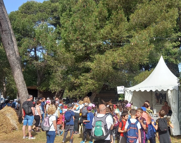 GaspariniSeb's tweet photo. Prom'Aude ouvre ses portes à la jeunesse.
Très heureux d'être présent aujourd'hui où plus de 1000 écoliers et collégiens Audois viennent découvrir les richesses de leur territoire. Une transmission importante .
#Aude #Promaude
#terroir
#LezignanCorbieres #jeunesse https://t.co/G18FlE3Jeq