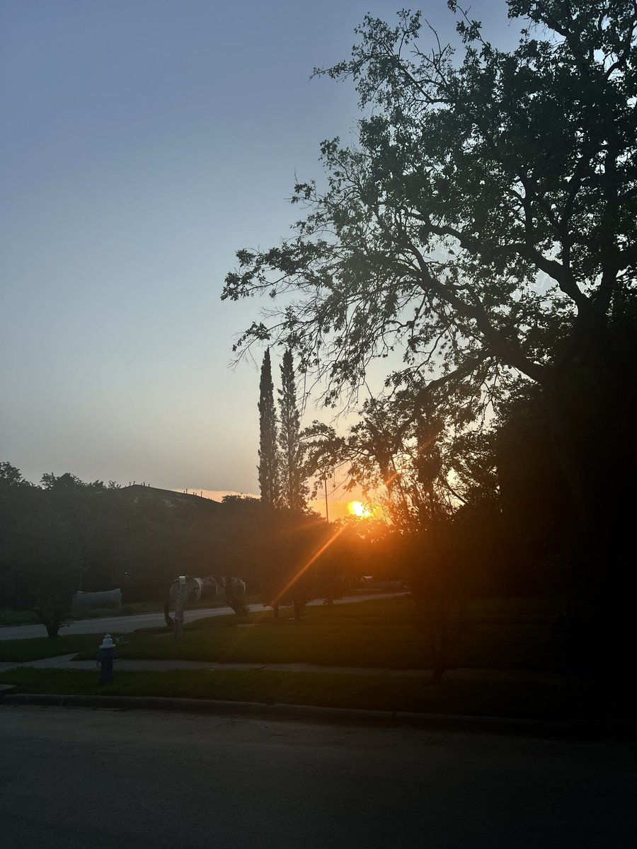 Tiffani317's tweet photo. Nice morning run before sunrise. Discovered a #catclowder in my neighborhood. That tracks. #running #CatsofTwittter #fridaymorning https://t.co/9ZiBHS1qrG