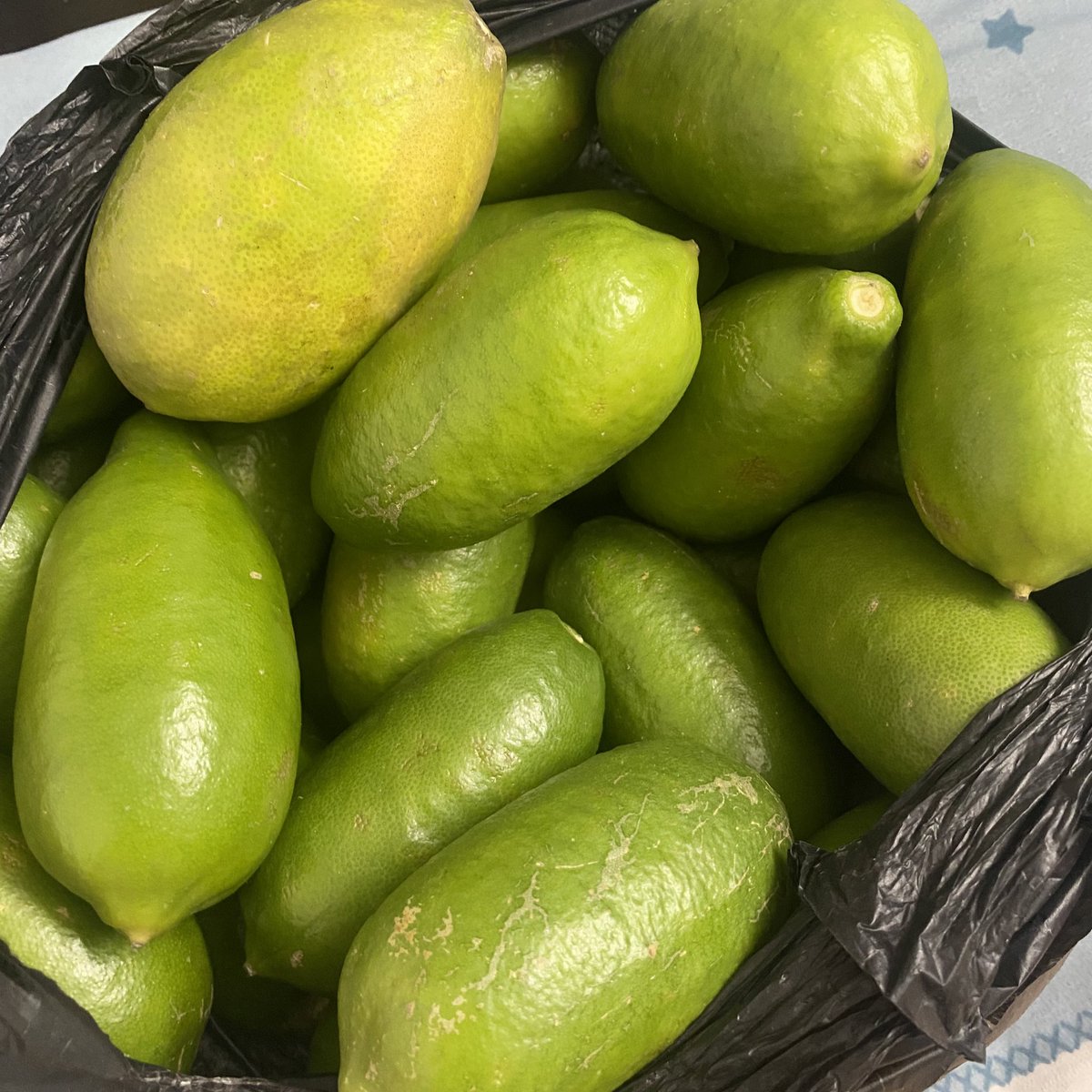 All the way from #ArunachalPradesh to beat the summer heat of #Delhi 

Delhi made me realise how much of lemon person I am than that of a lime! 
Lemon >>> Lime.