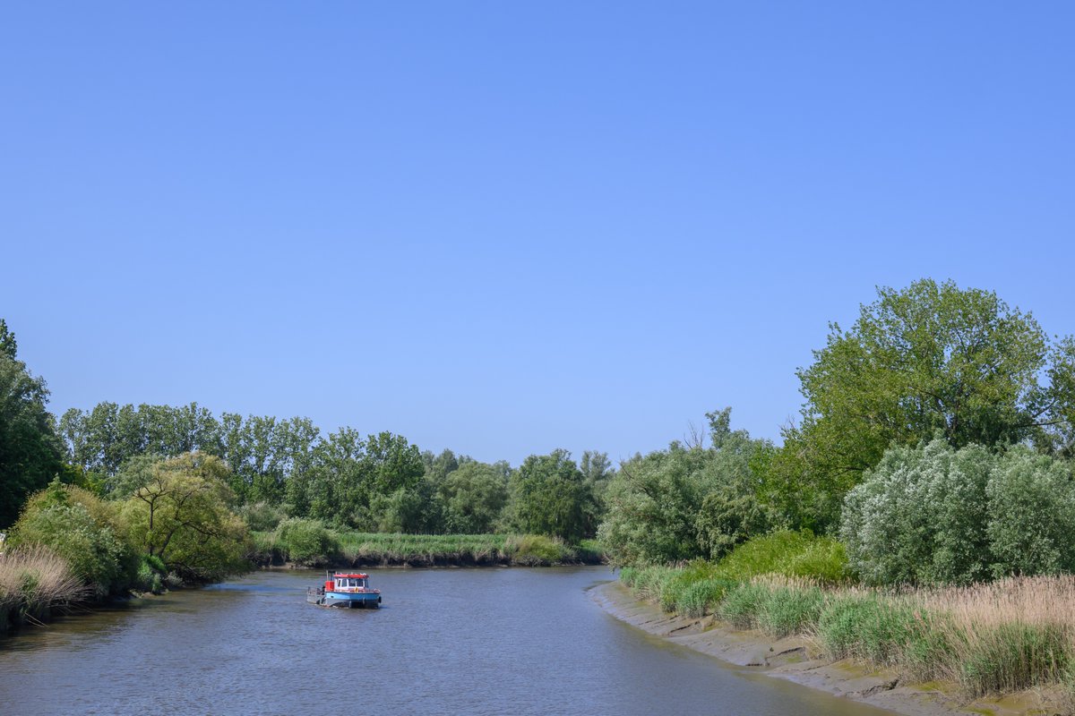 @meteoBram @MeteoWard @MeteoredDE @MeteovistaBe @meteobenl @HetweerinBelgie @Vlaamsewaterweg  @Weerbord #weerfoto #vrtweer #Hamme #nikonphotography #NaturePhotography #weatherphotography