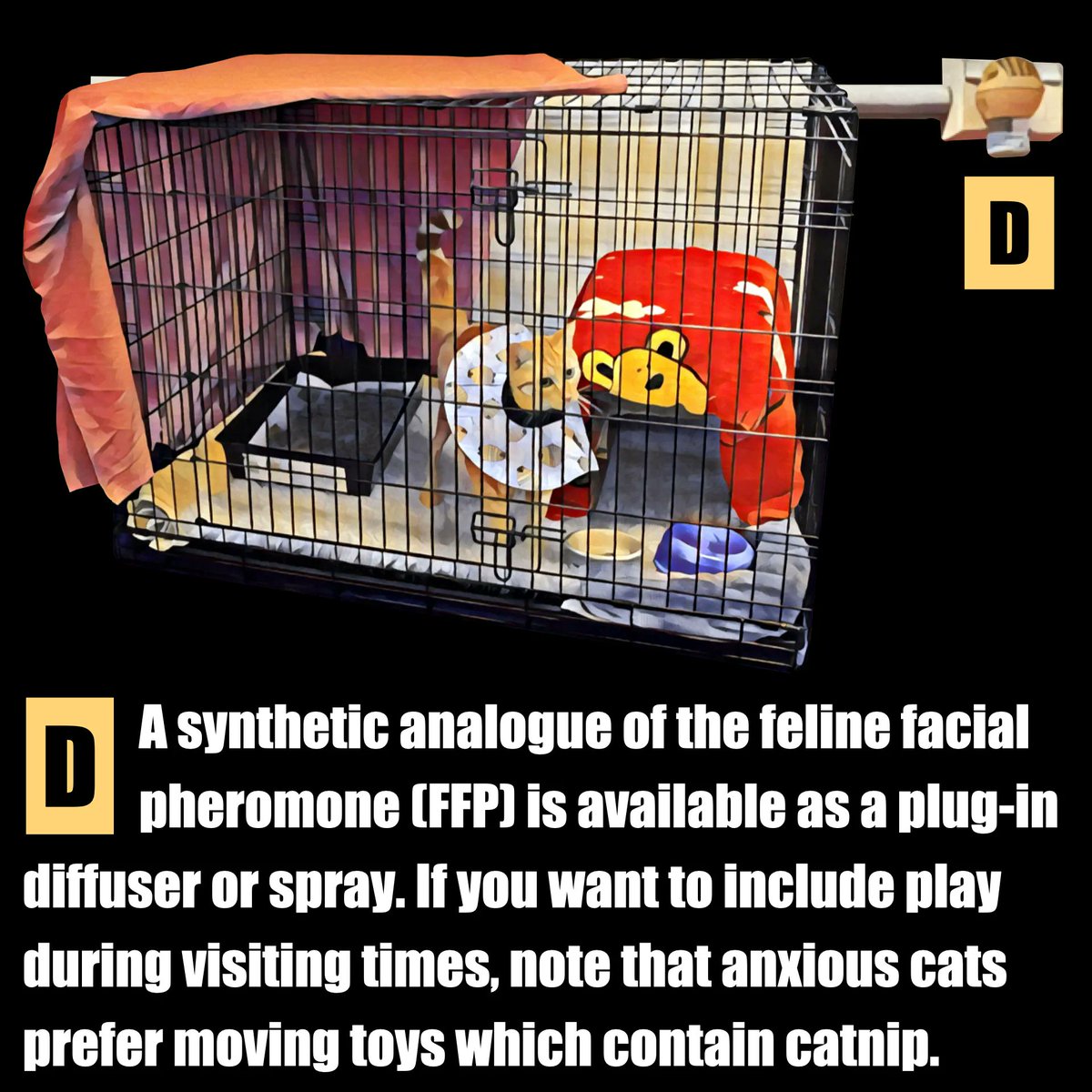 This image shows an example of a cat recovery space. A synthetic analogue of the feline facial pheromone (FFP) is available as a plug-in diffuser or spray. Learn how to safeguard a cat’s physical and mental health while they’re recovering from surgery at vetlessons.com/safe-recovery-…
