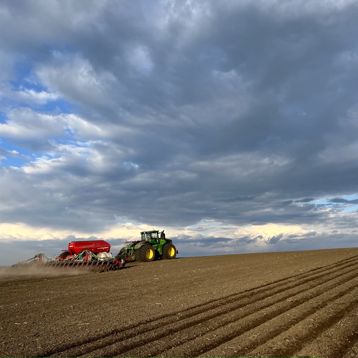 Контінентал закінчив посів ярих культур. Було засіяно понад 104 тис. га. У структурі традиційні культури — соняшник, кукурудза, соя та ріпак, а також важливі для продовольчої безпеки цукровий буряк і гречка. Фінішували і з посадкою картоплі, під яку відвели понад 2 тис. га.