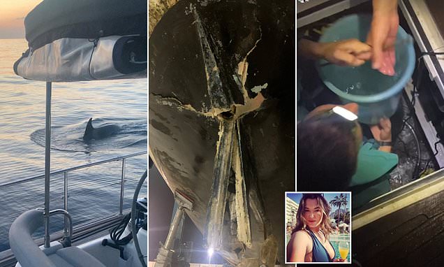 Daily Mail Online On Twitter Gladis Strikes Again Female British 