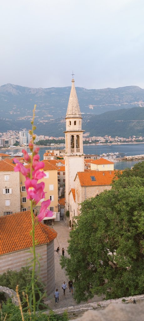 An incredible landscape, a lot of very good colleagues: in Budva, on board at <a href="/MFC_Network/">Microfinance Centre</a> conference!