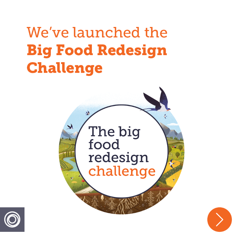 circulareconomy's tweet photo. The food industry can make a positive contribution to global challenges. We launched the #BigFoodRedesign Challenge, to enable food brands and retailers to put nature at the heart of every decision they make. Explore more here: https://t.co/Vy2jzh10m0