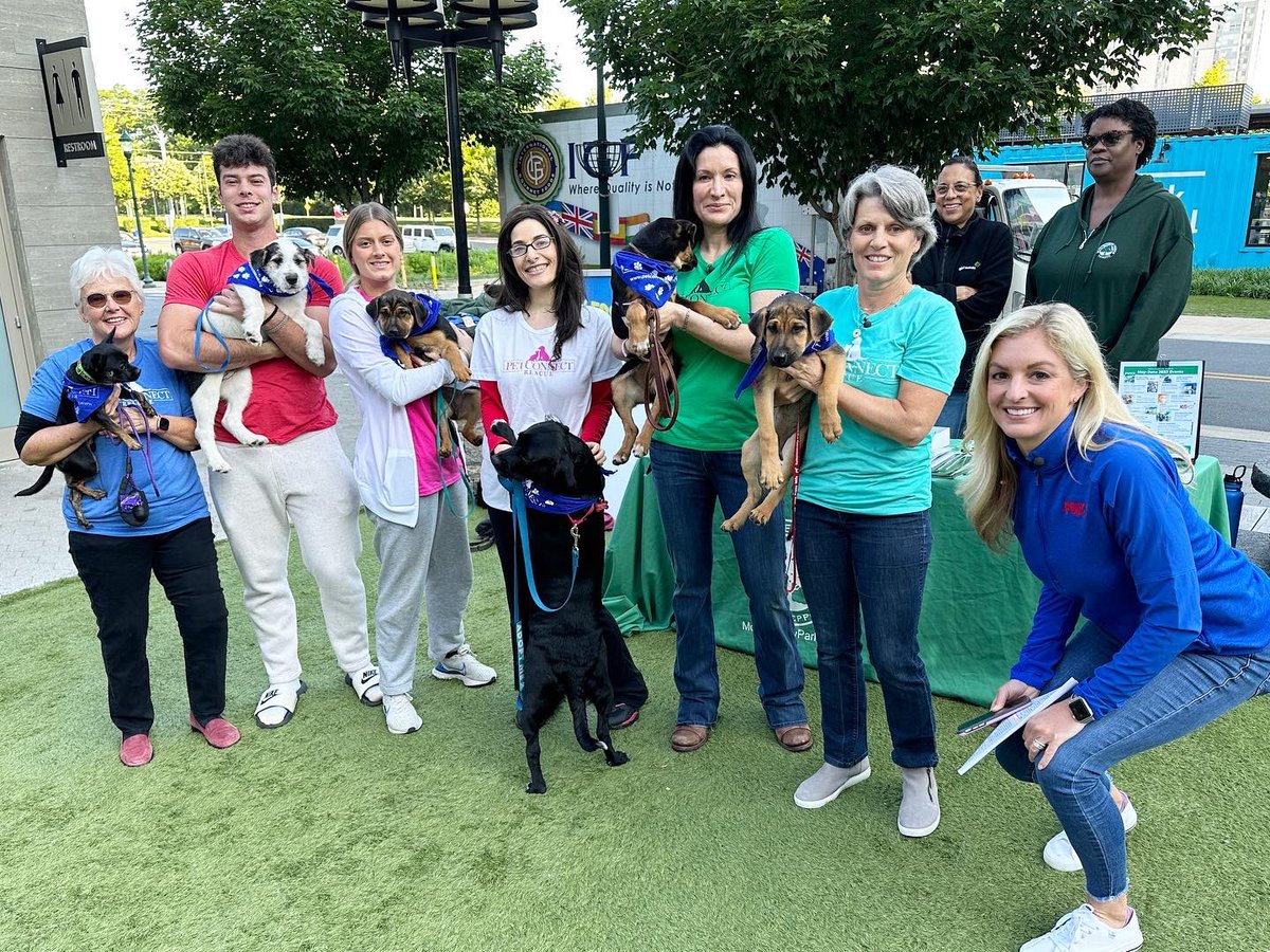 Thanks <a href="/fox5dc/">FOX 5 DC</a> <a href="/taylor_grenda/">Taylor Grenda</a> for showcasing some of our adorable adoptables this morning! Check out the q pups, Molly and scooter on our website petconnectrescue.org #petconnectrescue