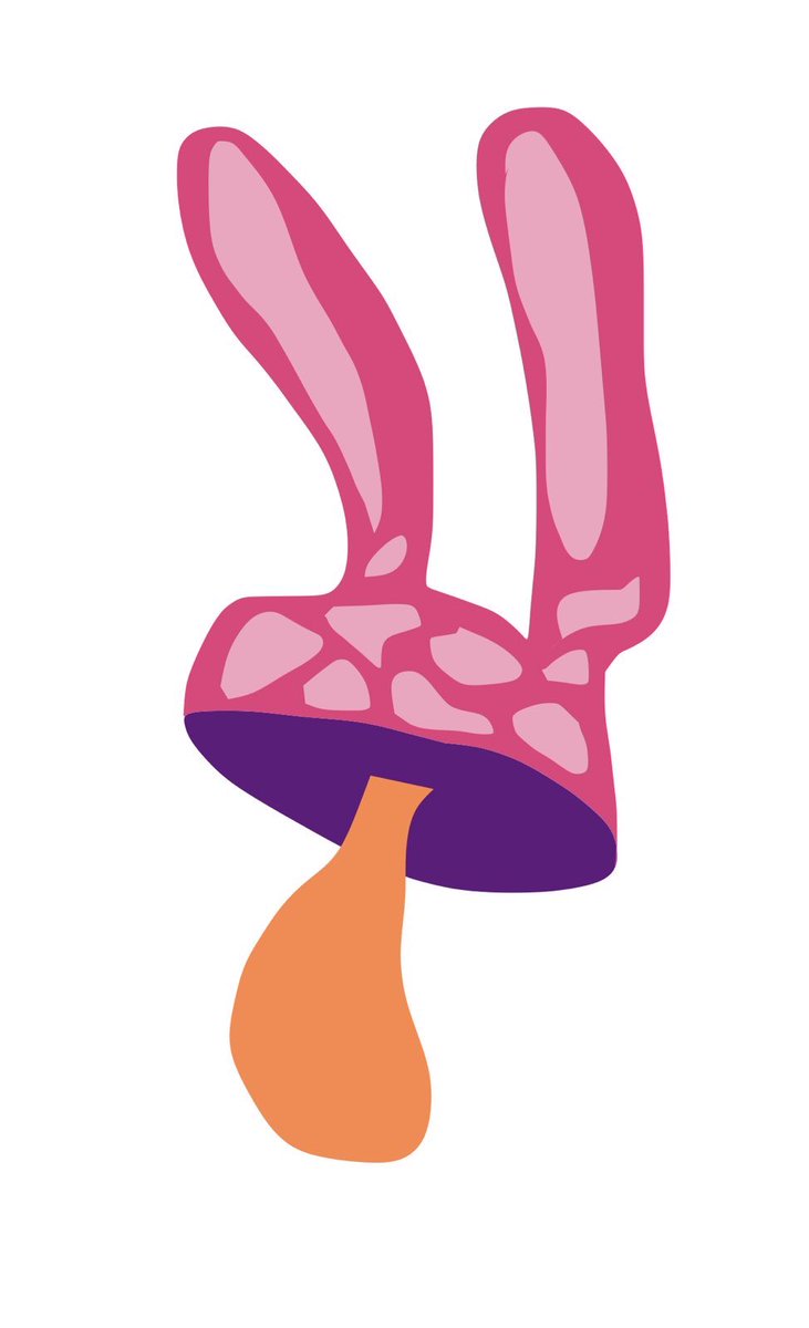 BUCKRUBY MUSIC tweet media