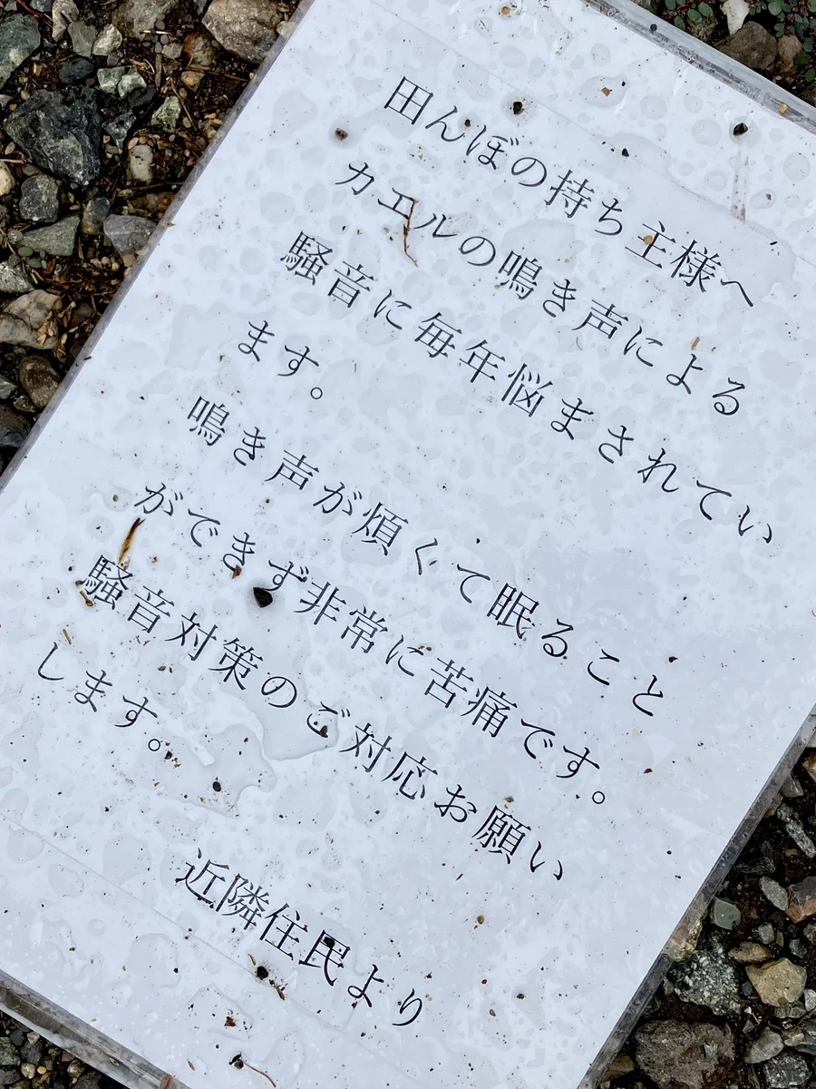 カエルの鳴き声は騒音になる！？田んぼの持ち主へ、騒音対策をするよう求める張り紙が見つかる。