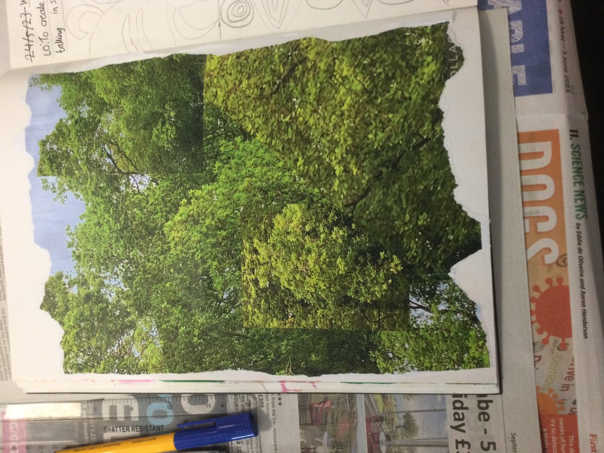 HBJSCH63's tweet photo. Last week, as part of our outdoor learning day we created photo collages of physical and human geography features in the school grounds that were inspired by our current artist David Hockney. #HBJSART #HBJSGEOGRAPHY #HBJSYEAR6 https://t.co/if06JAxESg