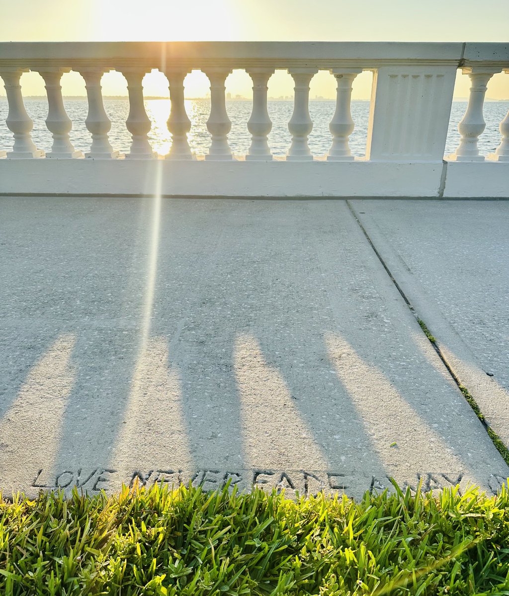 New sidewalk carving, ‘Love never fades away’ #bayshoreblvd #baylife #tampaphotography #tampalife #tampagirl #tampabay #tampabae #tampa #visittampabay #loveyourlife #luckygirl #changeyourlife #celebratechange #celebrate #crazyconfident #abileads #sunrise #LifeAfterLeapingIn