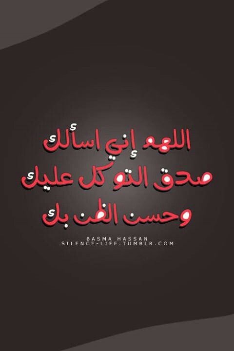 حسام رزق (@hossamrezk666) on Twitter photo 