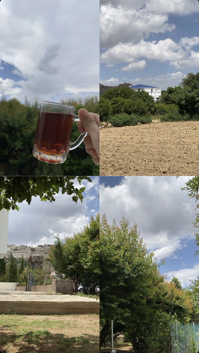 ماشاء الله اجواء الطائف