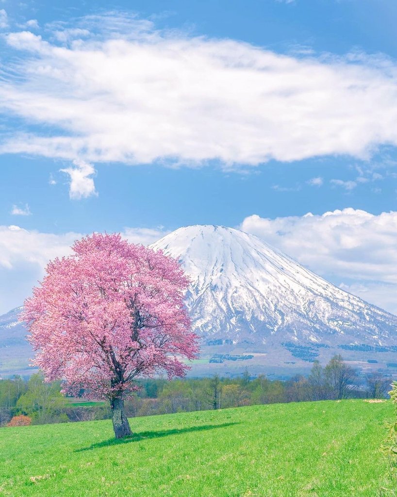 Share goodness among people and make life beautiful.
#bestie92