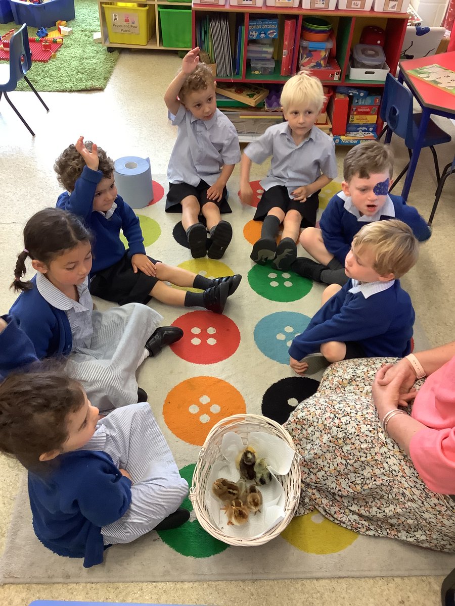 Chafyn Grove School tweet media