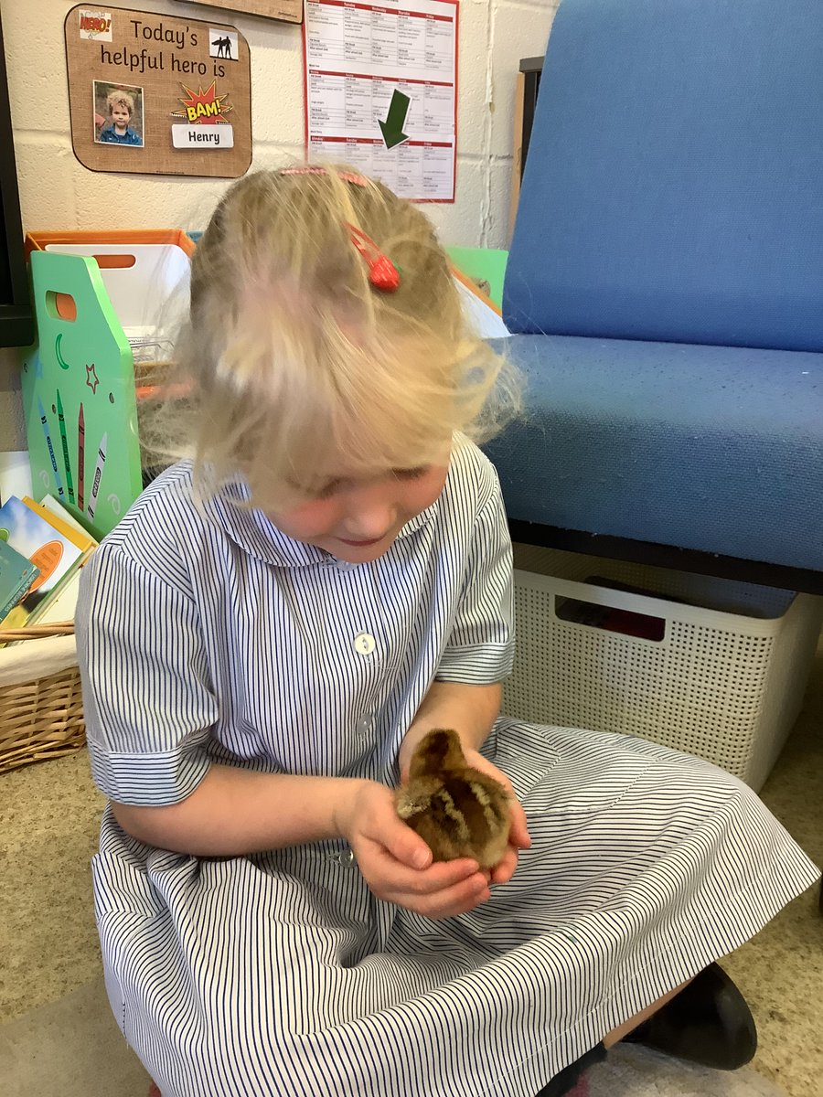 Chafyn Grove School tweet media