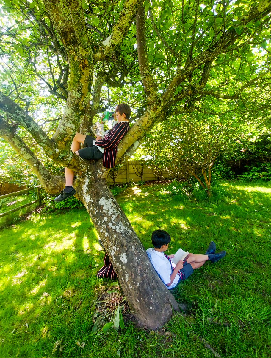 Last day before half term - our Year 7s enjoying some quiet reading time in the Secret Garden. This is what childhood is all about! #reading #literature #CastleCourtCuriosity #CastleCourtEnglish #DorsetPrepSchool #childhood