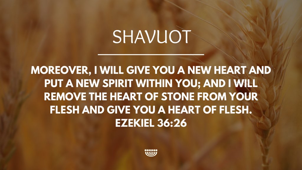 'Moreover, I will give you a new heart and put a new spirit within you; and I will remove the heart of stone from your flesh and give you a heart of flesh.'
(Ezekiel 36:26)

#ChosenPeople #verseoftheday #scripture #Bibleverse #Ezekiel #Shavuot #FeastofWeeks