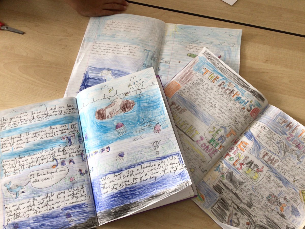 BramblesHolly tweet media