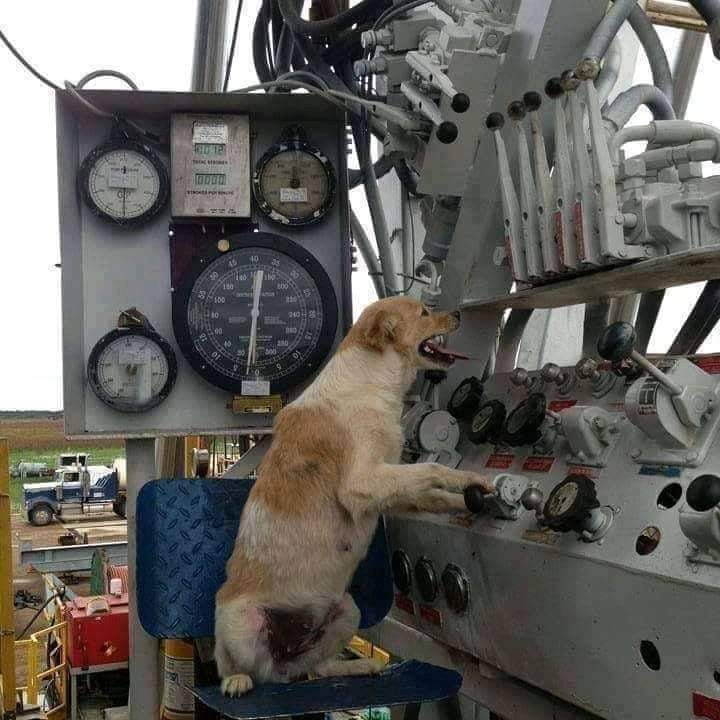 Real oilfield jobs on Twitter "Drill baby drill 😄"