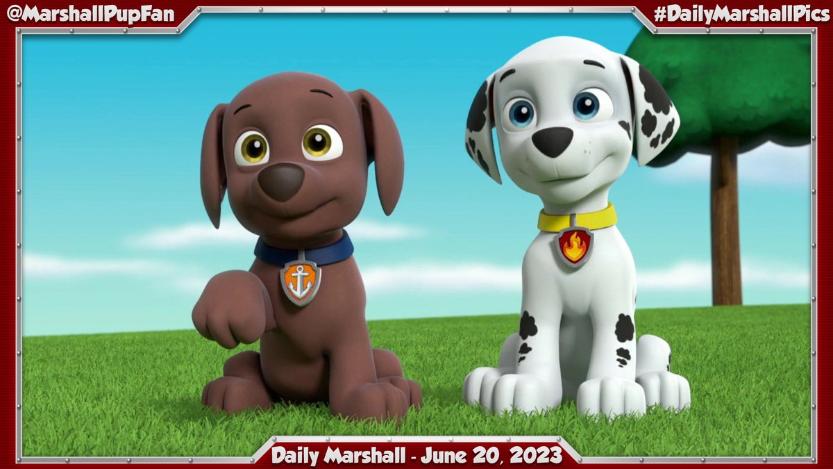Daily Marshall - June 20, 2023
#PAWPatrol #Marshall #DailyMarshallPics