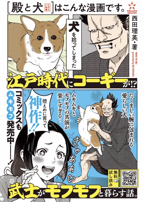 ムキムキやモフモフが お好きな人にオススメな漫画🥳👇  『殿と犬(とのといぬ)』 コミックス①②巻発売中🐶✨  🍡無料試し読み https://comic-polaris.jp/tonotoinu/  🍡Amazon 